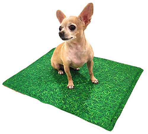 Croci Alfombrilla refrigerante para Perros Fresh Antimosquitos Grass 50 x 40 cm. Refresca el Animal sin ayudas adicionales como Corriente eléctrica o Agua – 1300 g