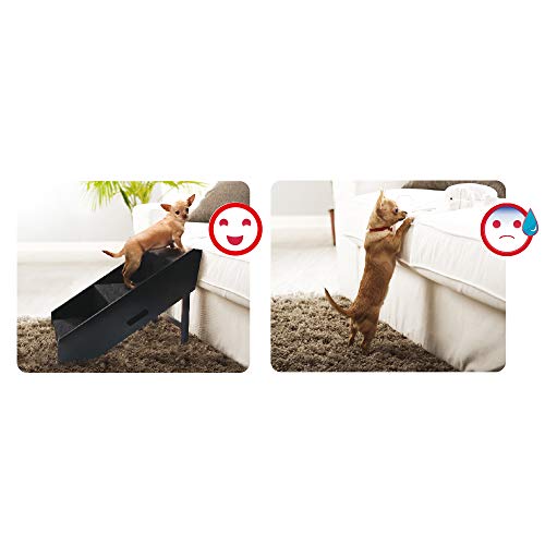 Croci C6020995 Rampa para Perros