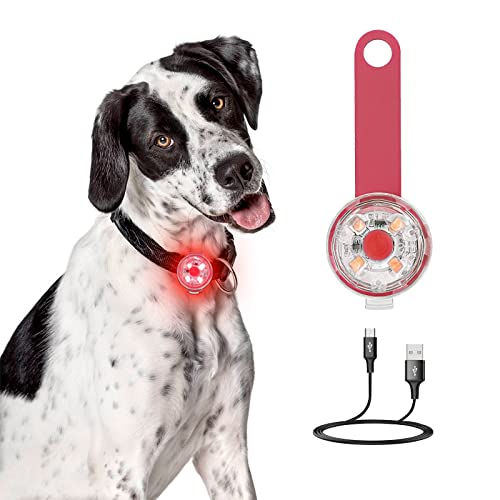 Cuello de Gato de Perro LED luz,Perro Colgante de luz LED Recargable USB,3 Modos Parpadeante,Luces de Mascotas de Seguridad Impermeable,Colgante Brillante