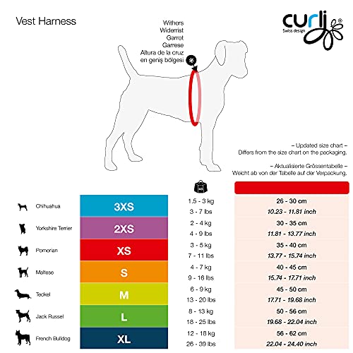 CURLI - Chaleco de malla arnés para perro