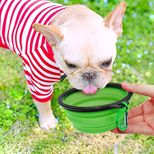 CYWVYNYT 2 cuencos para perros plegables de viaje, a prueba de fugas, con mosquetón de escalada para gatos, perros y mascotas para agua y comida (350 ml, azul y verde)