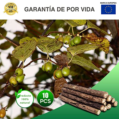 CZ Store Palitos Matatabi | Pack de 10 | ✮GARANTÍA DE por Vida✮ - Juguete Reusable con Hierba Gatera Calmante para Gatos y Gatitos - Higiene Bucal, Aliento - Sabor Menta, Madera Natural Orgánica