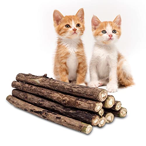 CZ Store Palitos Matatabi | Pack de 10 | ✮GARANTÍA DE por Vida✮ - Juguete Reusable con Hierba Gatera Calmante para Gatos y Gatitos - Higiene Bucal, Aliento - Sabor Menta, Madera Natural Orgánica