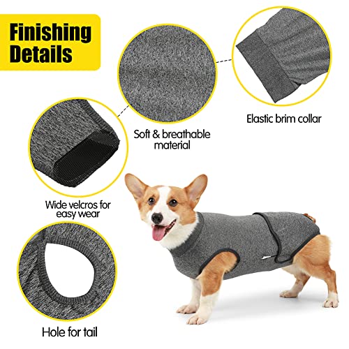 DanLink Ropa Fisiológica Lavable para Perros Vendajes Abdominales Reutilizables Mono Ceñido Antilamido, Almohadilla de Orina Súper Absorbente Práctica