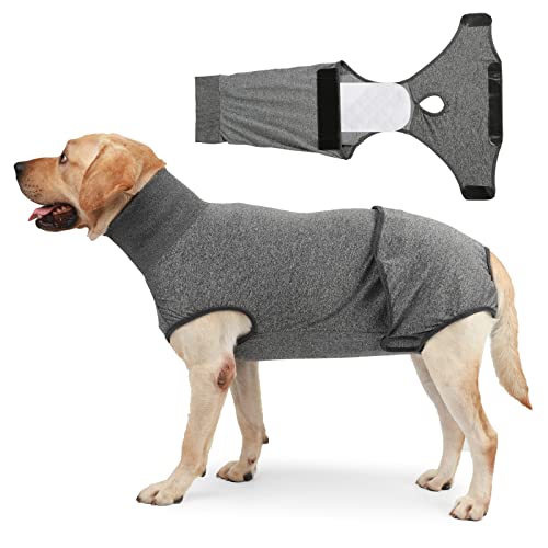 DanLink Ropa Fisiológica Lavable para Perros Vendajes Abdominales Reutilizables Mono Ceñido Antilamido, Almohadilla de Orina Súper Absorbente Práctica