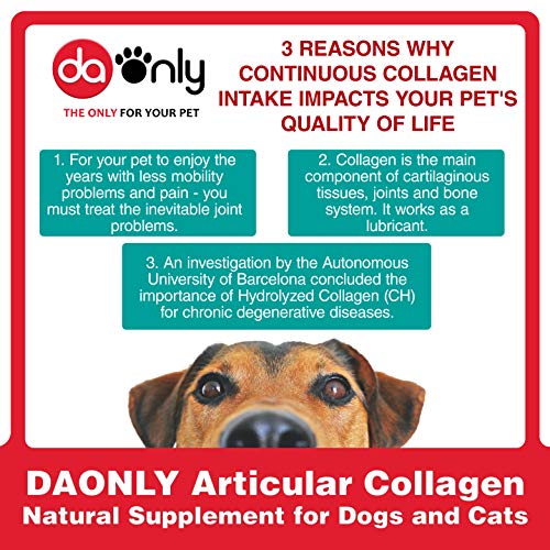 DAONLY colágeno Natural antiinflamatorio para Perros |120 Comprimidos| Pastillas Naturales | Alternativa a medicamentos y condroprotectores para Gatos (120 Tabletas)