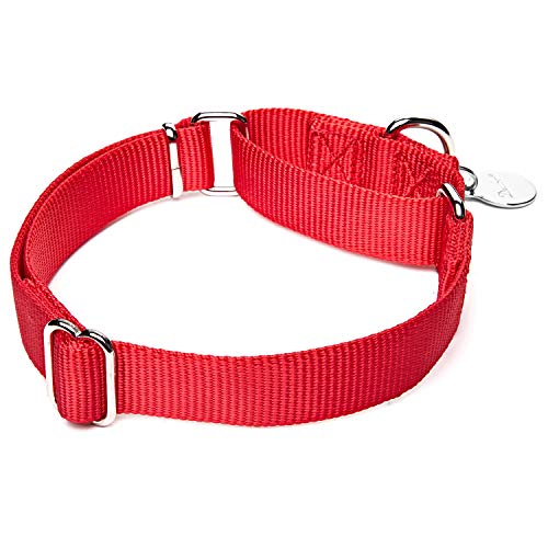 Dazzber Martingal Fuerte Collares para Perro Grande/Mediano/Pequeño, Ajustable - Resistente - No Escapatoria - Color Sólido - Nylon Collar de Perro de Seguridad