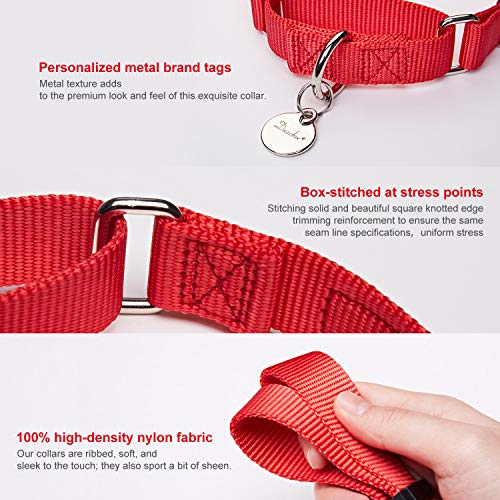 Dazzber Martingal Fuerte Collares para Perro Grande/Mediano/Pequeño, Ajustable - Resistente - No Escapatoria - Color Sólido - Nylon Collar de Perro de Seguridad