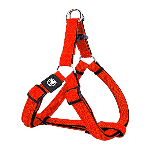 DDOXX Arnés Perro Step-In Air Mesh, Ajustable, Acolchado | Muchos Colores & Tamaños | para Perros Pequeño, Mediano y Grande | Accesorios Gato Cachorro | Naranja, M