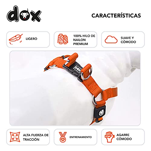 DDOXX Arnés Perro Step-In Nylon, Ajustable | Muchos Colores & Tamaños | para Perros Pequeño, Mediano y Grande | Accesorios Gato Cachorro | Naranja, S