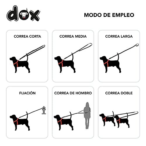 DDOXX Correa Perro de Nailon, Ajustable en 3 Direcciones, 2 m | Correas para Perros Grandes y Pequeños | Correa Doble para Perros, Gatos, Cachorros | Correa para Correr | Verde, L