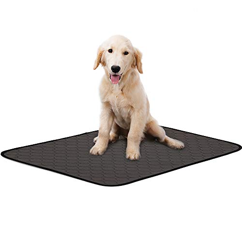 Decdeal Almohadillas para Orina para Perros Absorbentes Impermeables Esteras de Entrenamiento para Mascotas Pañales Reutilizables Lavables para Gatos Cachorros (M -24 * 30 cm)