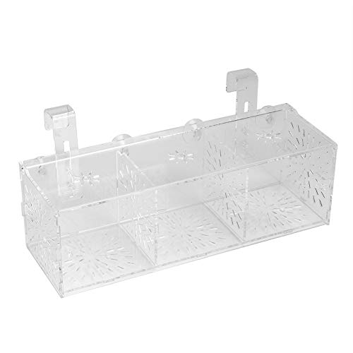 DEWIN Incubadora de criadero de Acuario Transparente, Caja de Aislamiento Transparente de acrílico para cría de acuarios(30CM*10CM*10CM)