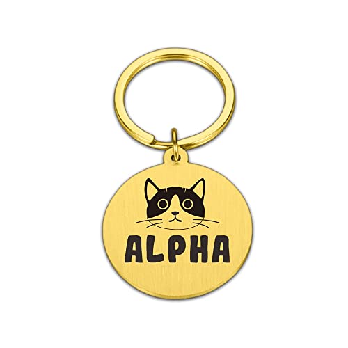 DHDHWL Placas Identificación Perros PET personalizada grabada gratis IDENTIFICACIÓN Etiquetas Accesorios Custom Pet Dog Collar Perros Nombre Nombre Etiquetas Anti-perdidas Cat Dog Puppy IDENTIFICACIÓN