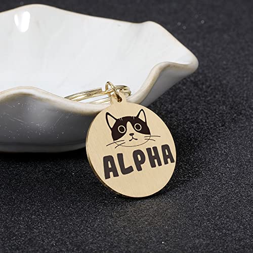 DHDHWL Placas Identificación Perros PET personalizada grabada gratis IDENTIFICACIÓN Etiquetas Accesorios Custom Pet Dog Collar Perros Nombre Nombre Etiquetas Anti-perdidas Cat Dog Puppy IDENTIFICACIÓN