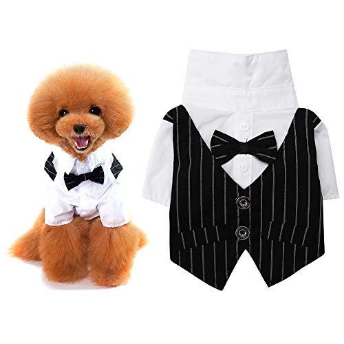 Dibiao Traje de Negocios para Perros Ropa de Boda de Esmoquin para Perros Pequeños Peluche Chihuahua Bichon Frise