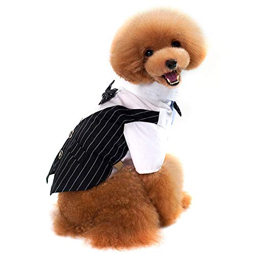 Dibiao Traje de Negocios para Perros Ropa de Boda de Esmoquin para Perros Pequeños Peluche Chihuahua Bichon Frise