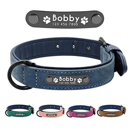 Didog - Collar de piel suave acolchada personalizable para perro, chapa de nombre, anilla en D, collar grabado para perro, tamaños pequeño, mediano y grande