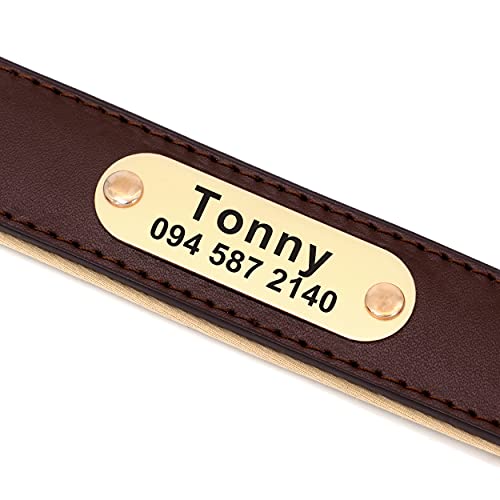 Didog - Collar para Perro de Cuero Personalizado, Collar para Mascotas con Placa de identificación de latón Personalizado con Acolchado Suave y Trenzado