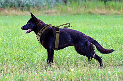 Dihapet Arnés para Perro sin tirón, Chaleco táctico Militar de Trabajo para Perro, arnés Ajustable para Perro con asa para Cachorros, pequeños, medianos y Grandes