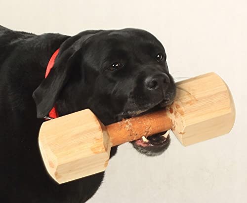 Dingo 17551 - Apport de madera de aliso para obediencia, juego obediencia, diversión y entrenamiento de perros, 150 g