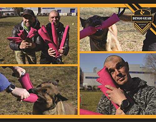 Dingo Gear S00312 - Salchicha para entrenamiento de perros con dos asas (45 x 8 cm), color rosa