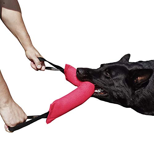 Dingo Gear S00312 - Salchicha para entrenamiento de perros con dos asas (45 x 8 cm), color rosa