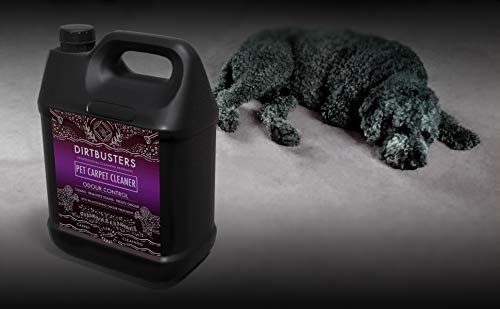 Dirtbusters Limpiador Concentrado de Moquetas, Alfombras y Tapicería para Mascotas. Elimina Manchas y Olores de Orina y Heces. Apto para Máquinas de Limpieza. Aroma a Camomila y Geranio. 1 x 5 litros