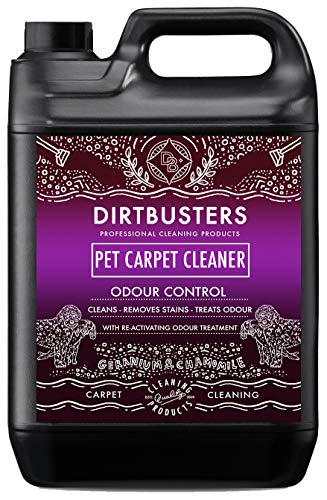 Dirtbusters Limpiador Concentrado de Moquetas, Alfombras y Tapicería para Mascotas. Elimina Manchas y Olores de Orina y Heces. Apto para Máquinas de Limpieza. Aroma a Camomila y Geranio. 1 x 5 litros