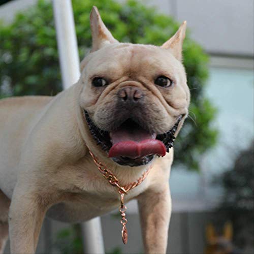 Diseño Dominante Collar Perro Petchain 11-15mm Collar De Acero Inoxidable Collar De Oro Rosa Pitbull Bulldog Accesorios para Mascotas 11mmX40cm