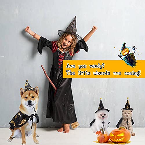 Disfraces de Halloween para perro, divertido disfraz de gato de Halloween con sombrero de brujas impreso, disfraz de perro para cachorros, cosplay, decoraciones de fiesta de Halloween