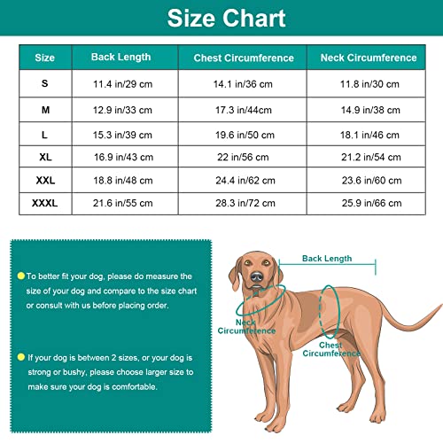 Disfraz de Dinosaurio para Perros pequeños, Disfraz de Cachorro Divertido, cómodo con Capucha de Dinosaurio, Ropa de Invierno cálida y Ligera para Halloween (Verde, S)