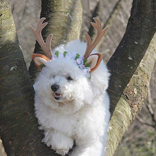 Disfraz de gato 1 pieza Navidad temática mascota diadema creativa cuerno de ciervo decoración para gatos talla S