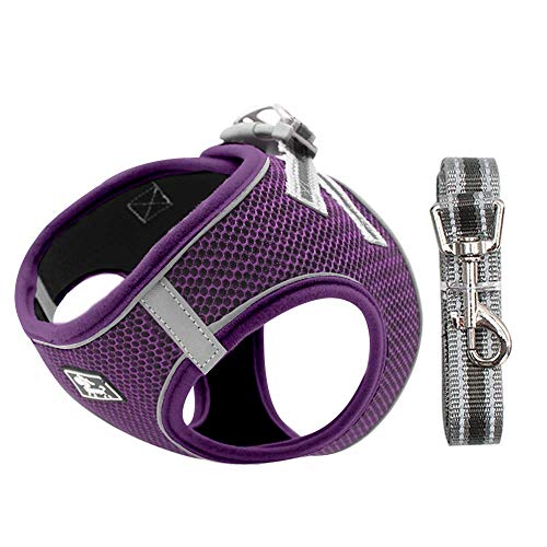 Dociote Arnés para Perros Perros pequeños, Arnés Deportivo para Perros Sin Tirón Malla Suave Reflexivo y Transpirable Arnés para Perros y Juego de Cables Ajustable Morado XS