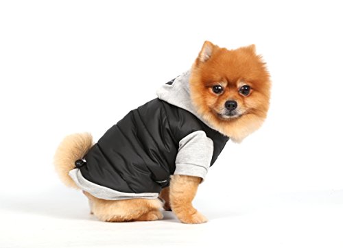 Doggy Dolly W109 Chaqueta para Perros, Impermeable con Capucha, Negro/Gris, Abrigo de Invierno/Chaqueta de Invierno, Talla: L