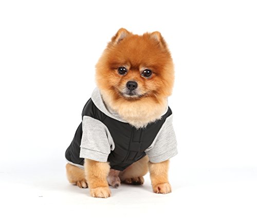 Doggy Dolly W109 Chaqueta para Perros, Impermeable con Capucha, Negro/Gris, Abrigo de Invierno/Chaqueta de Invierno, Talla: L