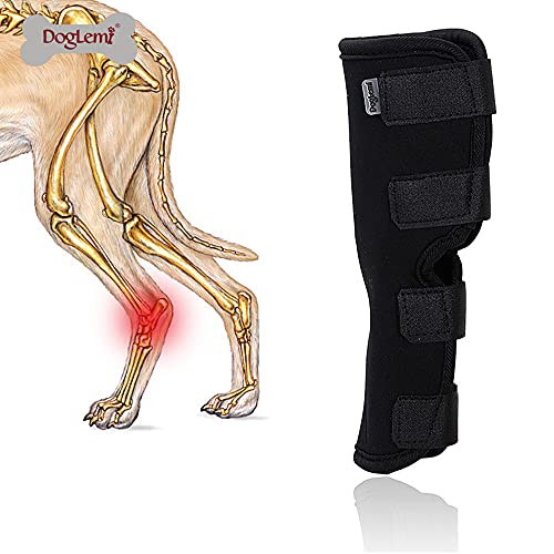 Doglemi Perro Hock Brace pierna trasera mascota rodillera vendaje protector prevenir perros lamiendo heridas alivio del dolor, cuidado de las articulaciones suministros de salud canina