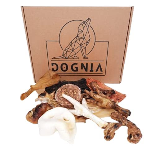 DOGNIA | Caja de Snacks Naturales para Perro de Carne | Aperitivos de Carne deshidratada para Perros Hight-Protein. 55-60Piezas