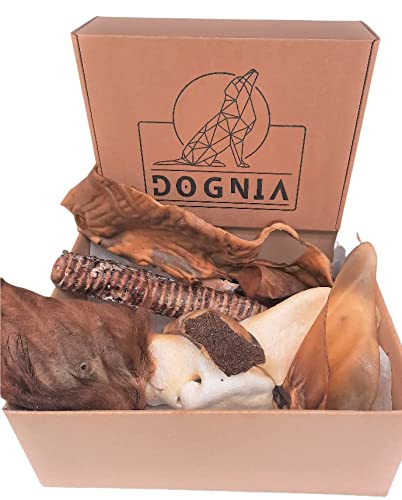 DOGNIA | Cofre Sahara XL | Pack de Snack Naturales mordedores para Perros Grandes