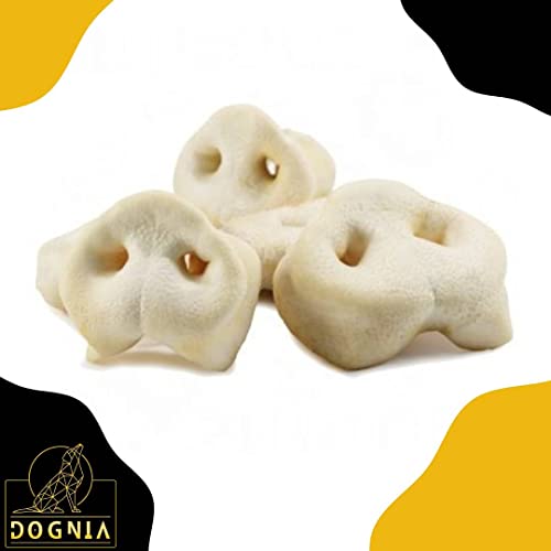 DOGNIA | Snack Natural para Perros Morros de Cerdo | Snack masticable de Morro de Cerdo 10unidades