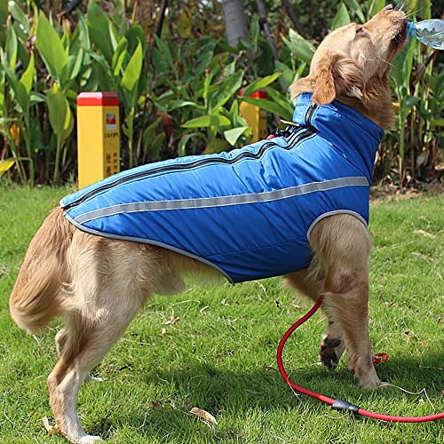 DONGKER - Sudadera con capucha para perros, perros, cachorros, sudaderas con capucha, impermeable, cálido, abrigo para animales de compañía