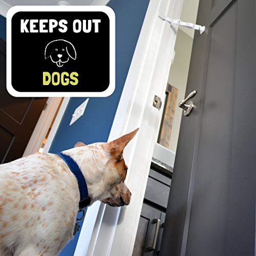 Door Buddy - Bloqueo de Seguridad para Puerta a Prueba de Perros. Cierre Pestillo y Correa Ajustable sin Montaje. Entrada Fácil para Gatos y Adultos ¡Tu Perro Dejará de Comer Caca de Gato Hoy! (Gris)