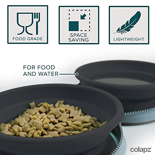 Dos cuencos plegables para perros y un juego de viaje portátil para botellas de agua para perros - Accesorios para mascotas y cachorros - Tazón plegable con dispensador de agua y comida - Gris