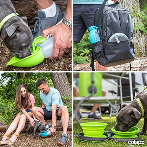 Dos cuencos plegables para perros y un juego de viaje portátil para botellas de agua para perros - Accesorios para mascotas y cachorros - Tazón plegable con dispensador de agua y comida - Gris