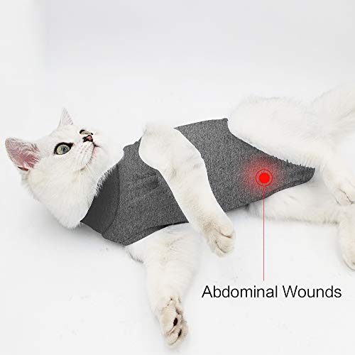 Dotoner Traje de recuperación Profesional para heridas Abdominales o Enfermedades de la Piel, Alternativo para Gatos y Perros, después de la cirugía, Ropa para el hogar（Gris，L