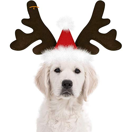 DOUDOU Perro Gato Navidad astas de la asta Diadema Diadema de Reno para Perros Gatos, Traje de Navidad de los Ciervos del Reno del Perro astas Perro Gorra