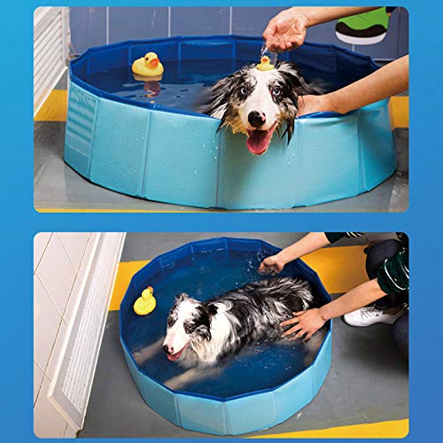 DreiWasser Piscina plegable para perros y mascotas, piscina al aire libre, plegable, antideslizante, de PVC duro, para mascotas grandes y Xtra perros grandes, niños, mascotas (120 cm x 30 cm)