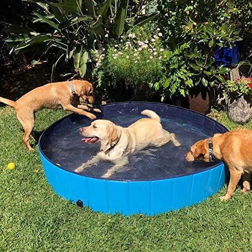 DreiWasser Piscina plegable para perros y mascotas, piscina al aire libre, plegable, antideslizante, de PVC duro, para mascotas grandes y Xtra perros grandes, niños, mascotas (120 cm x 30 cm)