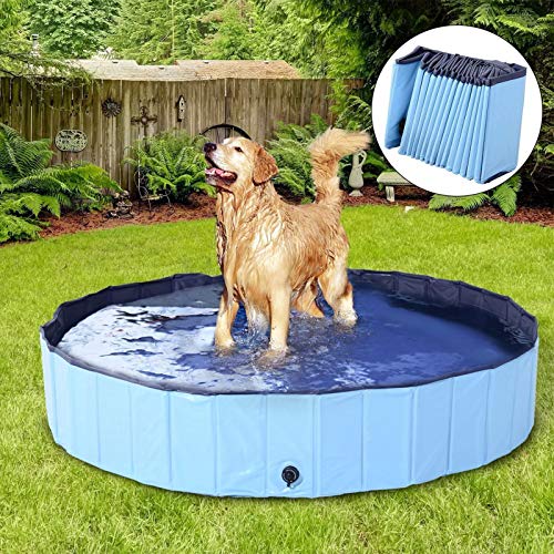 DreiWasser Piscina plegable para perros y mascotas, piscina al aire libre, plegable, antideslizante, de PVC duro, para mascotas grandes y Xtra perros grandes, niños, mascotas (120 cm x 30 cm)