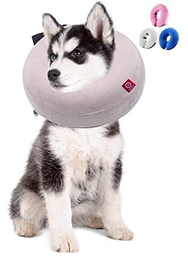 Ducomi Inflable Collar Isabelino Perro o Gato – Cono de Cuello Ajustable para Mascotas Recuperación de Cirugía o Heridas - Previene la Infección por Arañazos y Picaduras